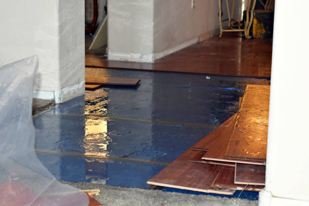 Professional Basement Flood Cleanup technician working in Arley, AL